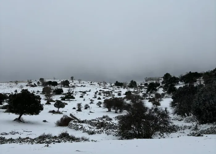 Casa Rural Las Nogueras