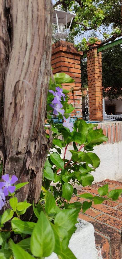 Nogueras Holiday home Caserio Arroyofrio