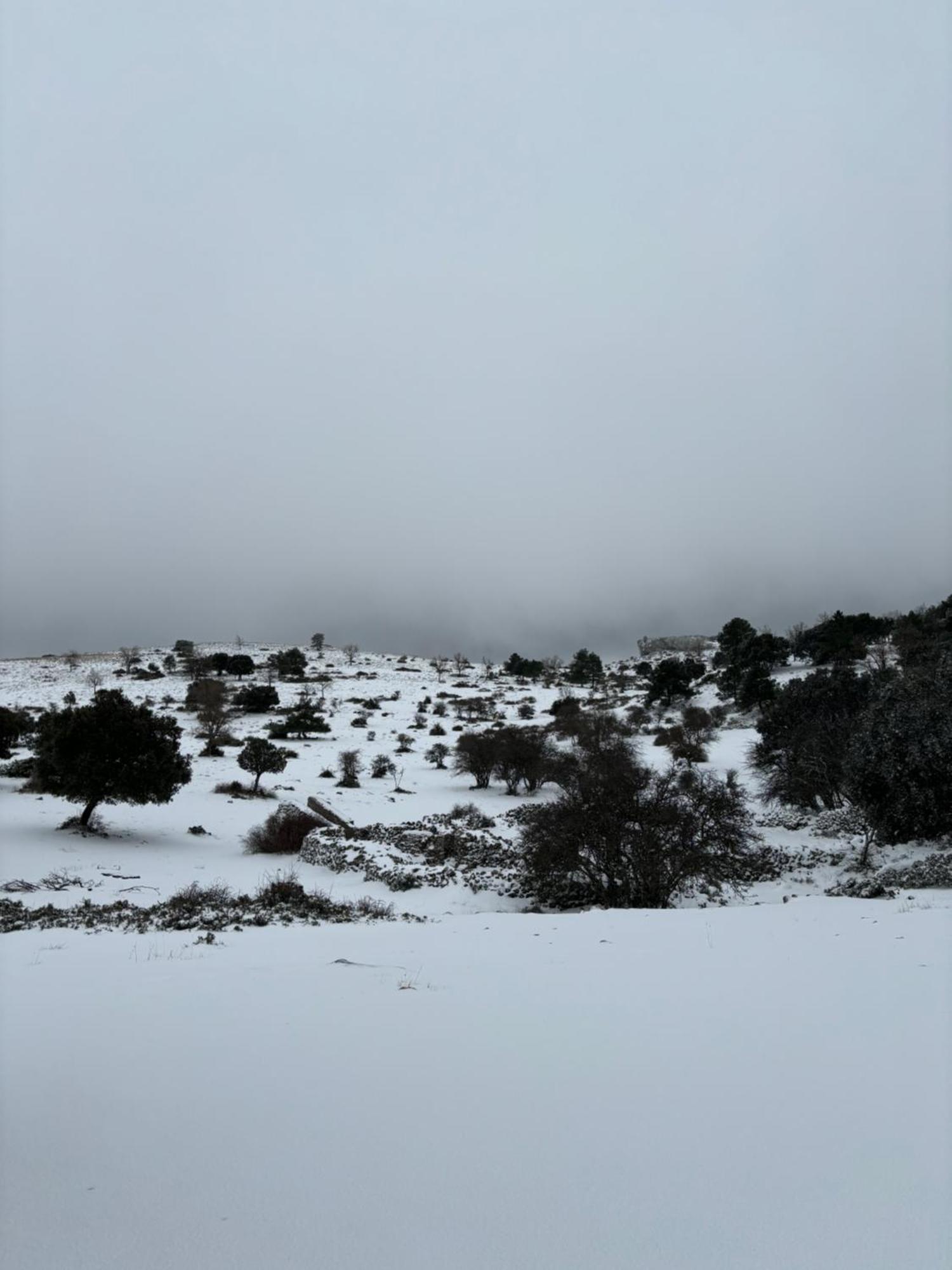 Holiday home Nogueras